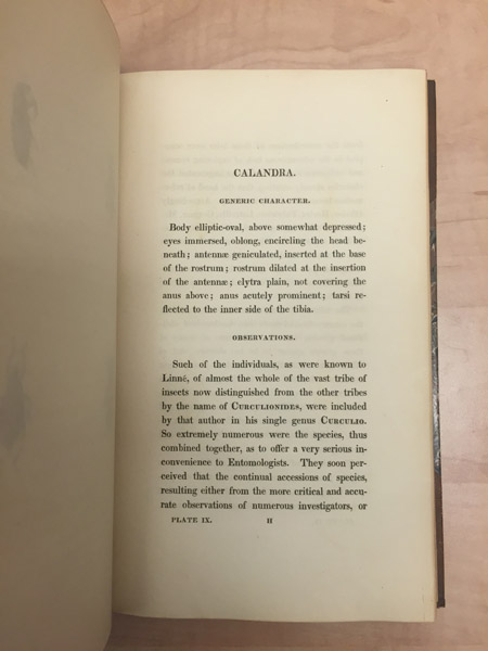 Inside page of American Entomology