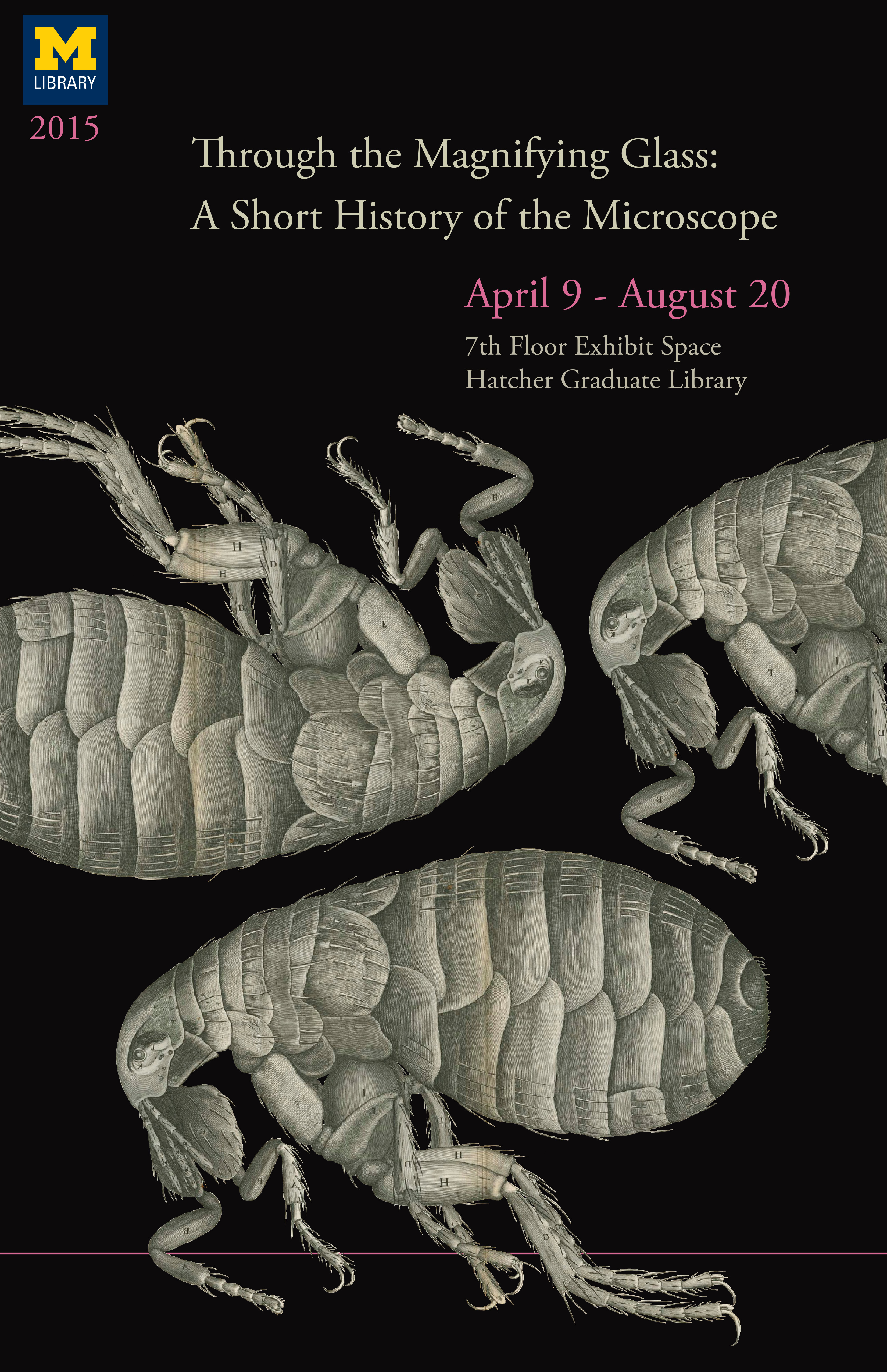 Exhibit Poster Based on an engraving of a flea from Robert Hooke's Micrographia