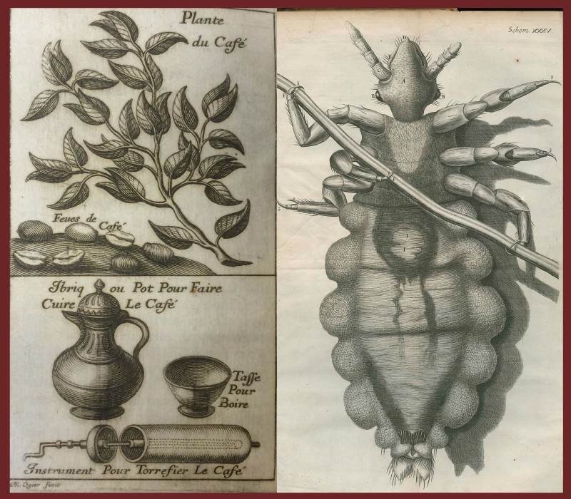 Left: Philippe Sylvestre Dufour (1622-1687). Traitez nouveaux & curieux du cafe, du the et du chocolate. Lyon: Jean Baptiste Deville, 1688; Right: 