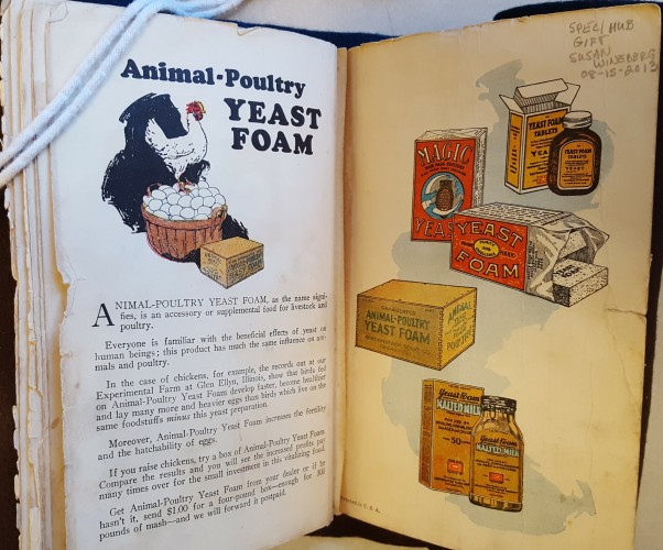 Advertisements for yeast products: on the left, illustrated by a chicken standing on a basket of eggs; on the right by illustrations of packaging (boxes and bottles)