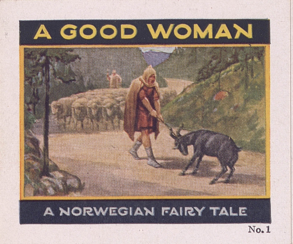 Norwegian farmer in a hooded cloak struggling with a stubborn goat on a country road as a flock of sheep approach