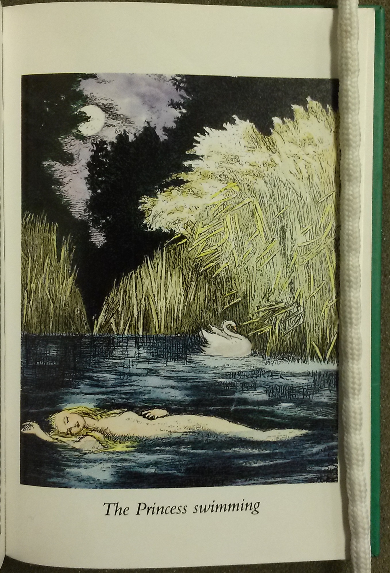 Illustration of the Princess floating in the lake at night
