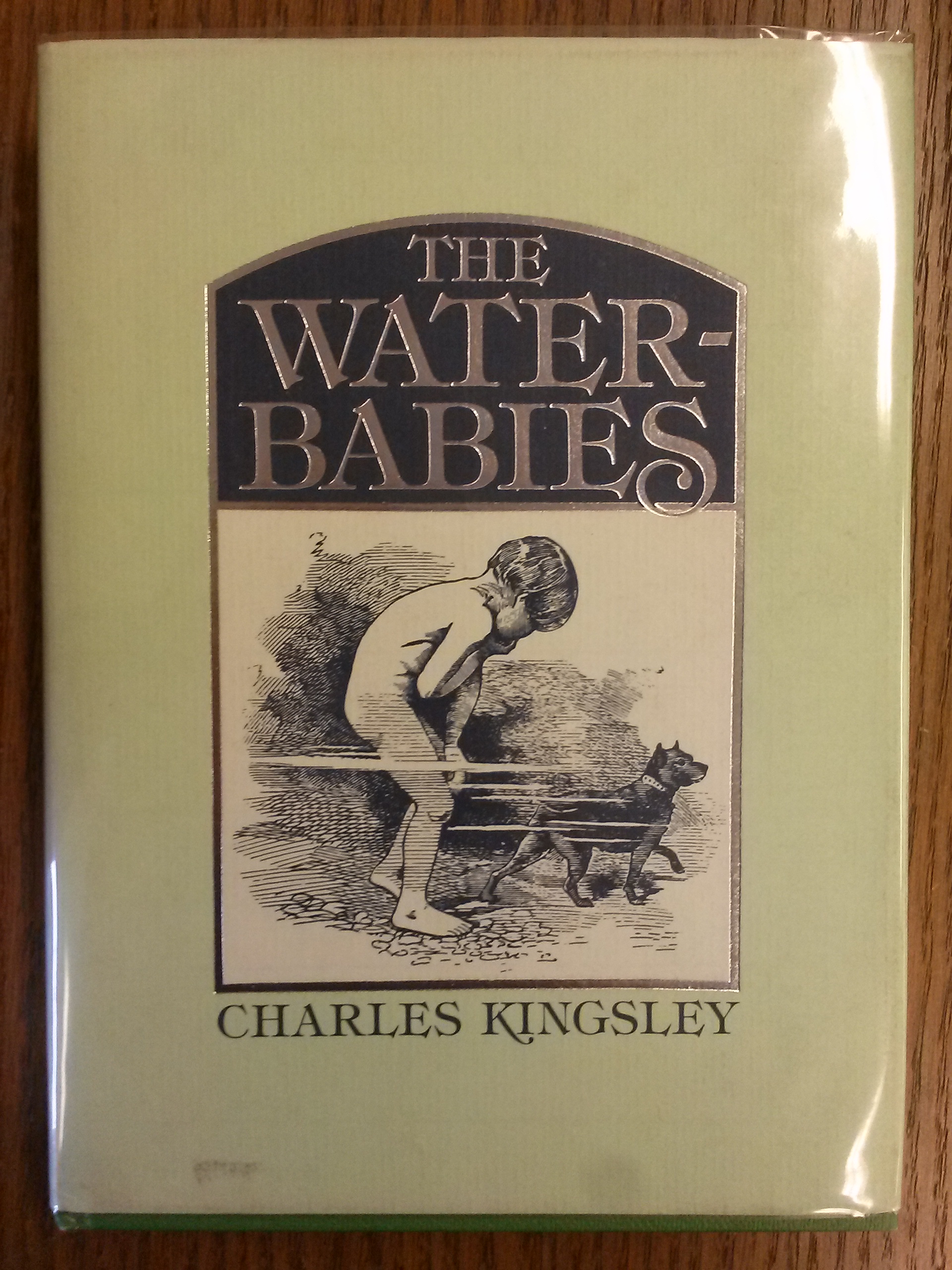 Cover image of Tom the water baby and his water dog