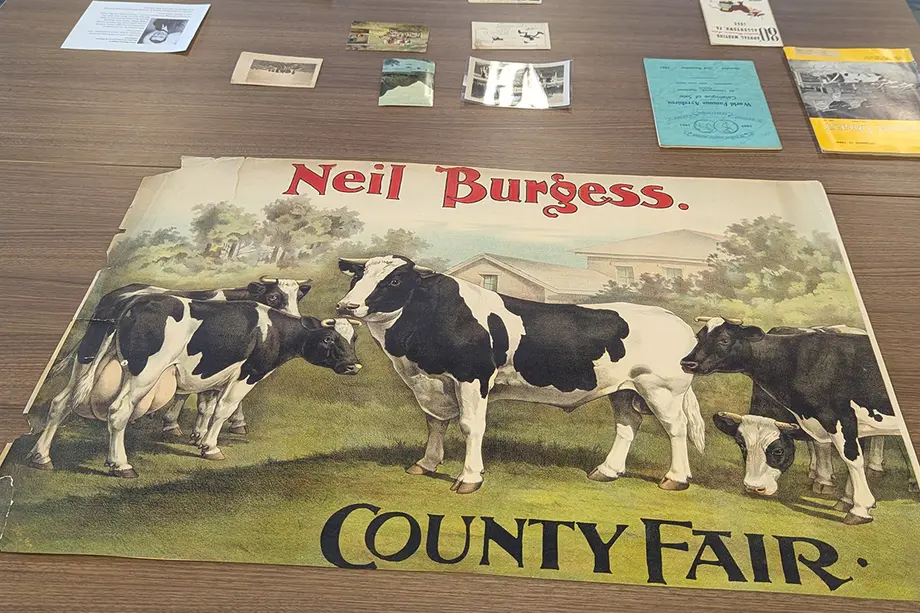 A poster with four Holstein cows and a bull, with the text Neil Burgess and County Fair.
