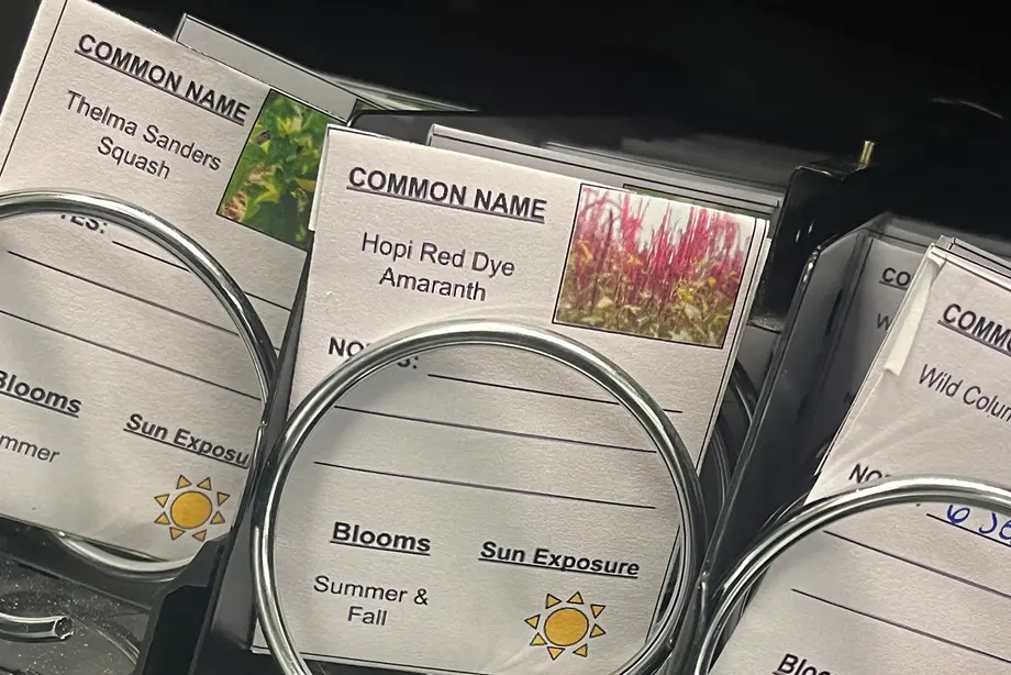 Planting a seed