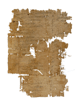 image of papyrus after conservation