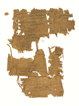 image of papyrus before conservation
