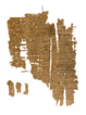 image of papyrus after conservation