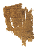 image of papyrus before conservation
