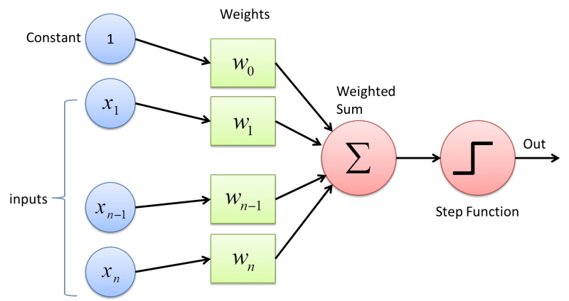 A perceptron takes input, prescribes weights and biases to output a binary sum