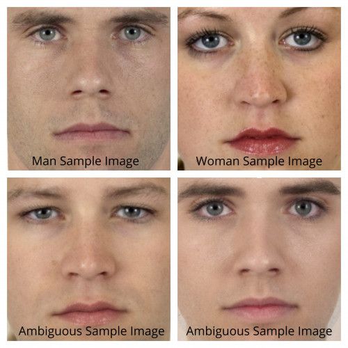 sample images of men, women, and ambiguous faces
