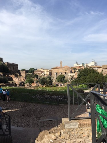 A picture of the Roman Forum I took on my recent visit to Rome.  It shows the House of the Vestals at a distance.  Unfortunately, that was the closest I could get to it.