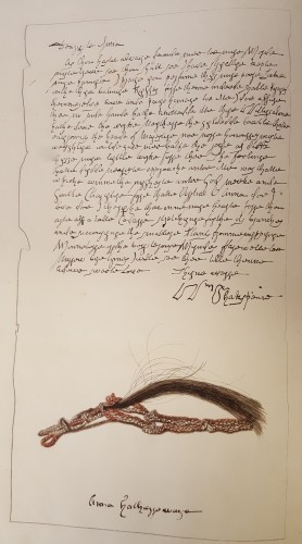 Reproduction of forgery purporting to be a love letter to Shakespeare's wife