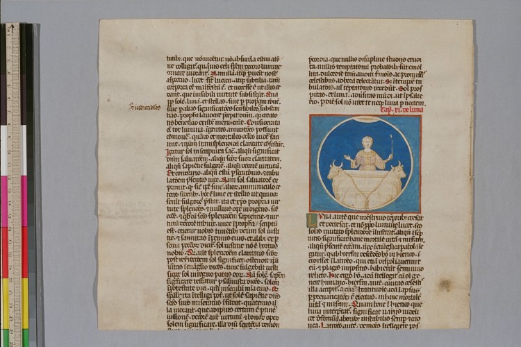 Plimpton MS 128v. Leaf fragment containing Hrabanus Maurus' De rerum naturis, 9, 9-10. Parchment. 243 x 287 mm. Spain. 14th c. Rare Book & Manuscript Library (Columbia University Libraries)