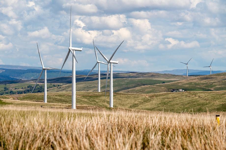 A cluster of wind turbines in an open field