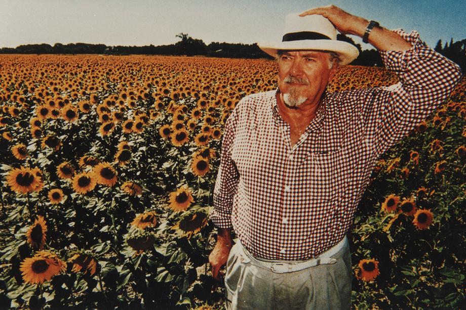 man in a white hat standing in a field of sunflowers