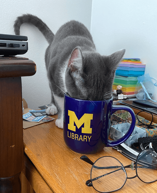 Isabelle Hanshue&#039;s Photo