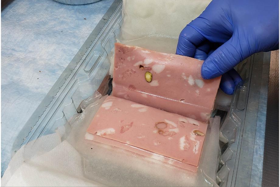 Meat book, held open by a blue-gloved hand and submerged in a bin of fluid