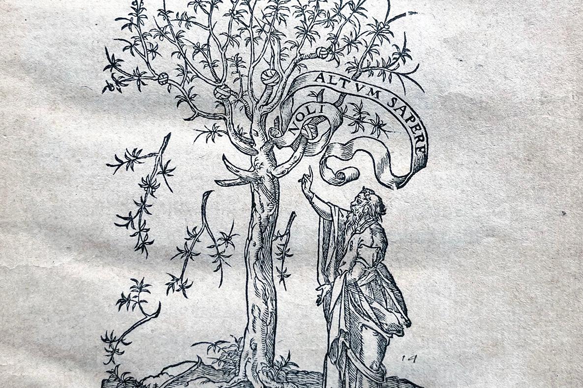 Man pointing up toward  the branches of an olive tree with the text "alt um sapere noli" which means "Don't be afraid to know."