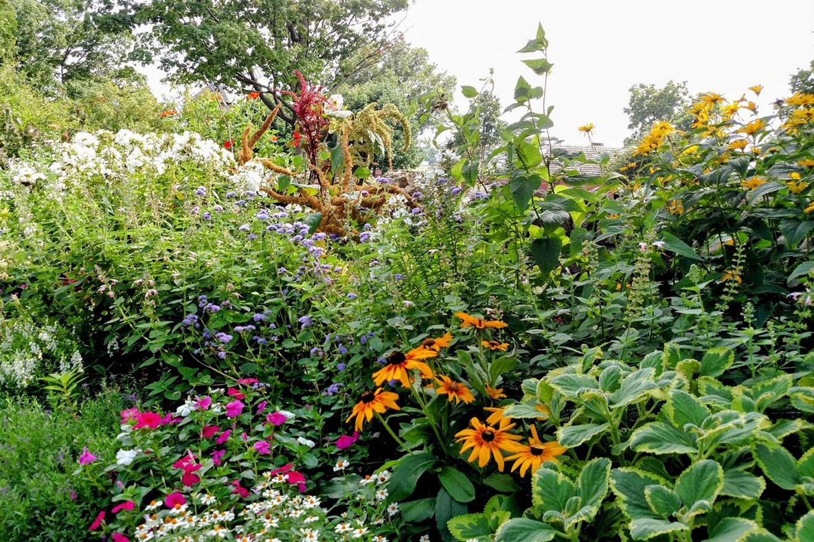 Garden of flowers blooming in an array of colors.