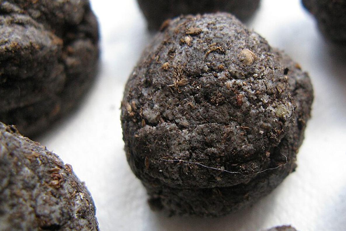 Dark soil balls stuffed with seeds.
