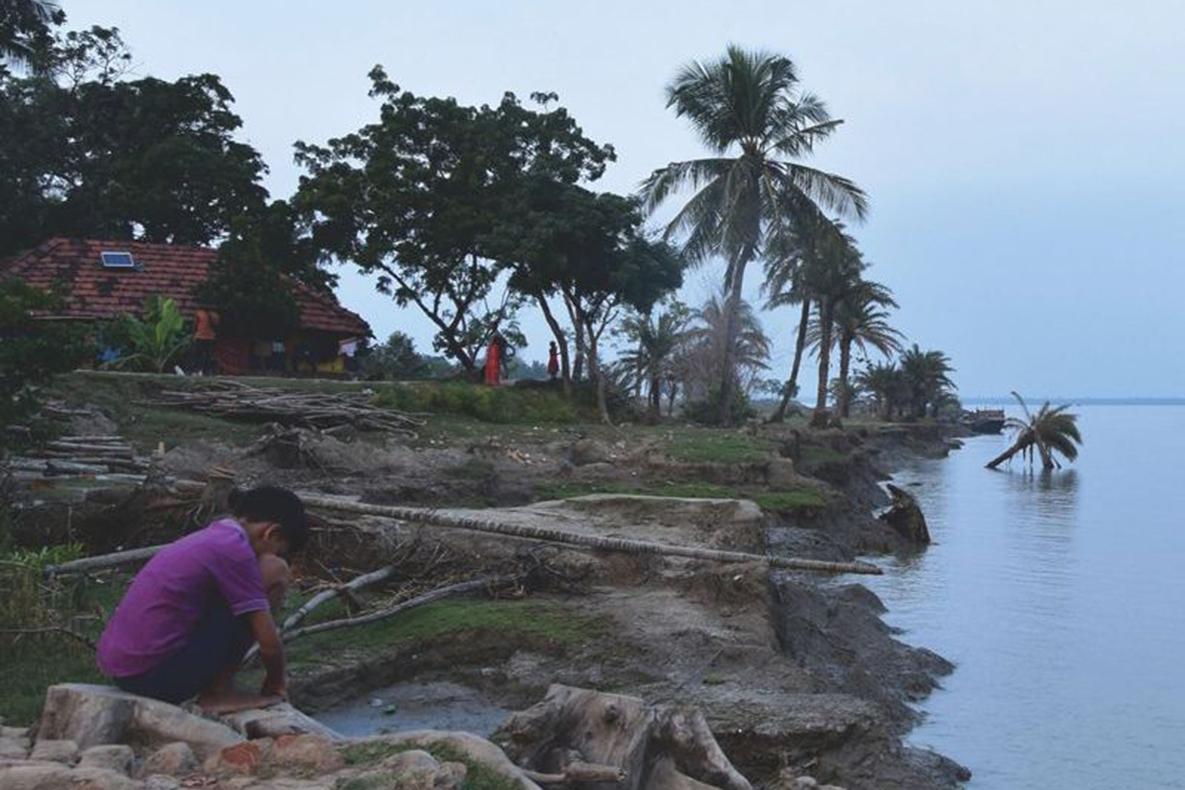Person crouching along the edges of a body of water, with palm trees falling due to erosion.